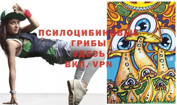 a pvp Зерноград