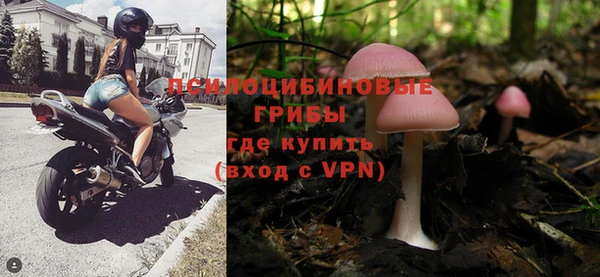 тгк Зеленокумск