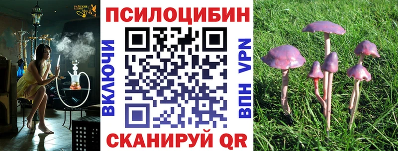 Купить  Электроугли  Галлюциногенные грибы мицелий 